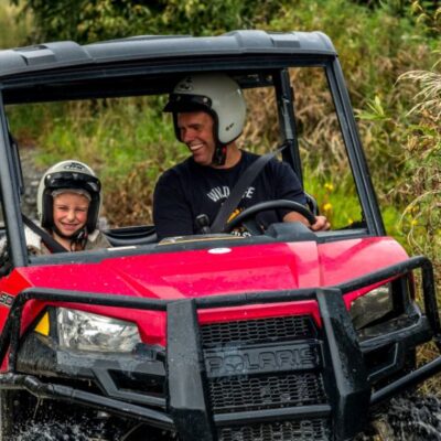 2-seat buggy family
